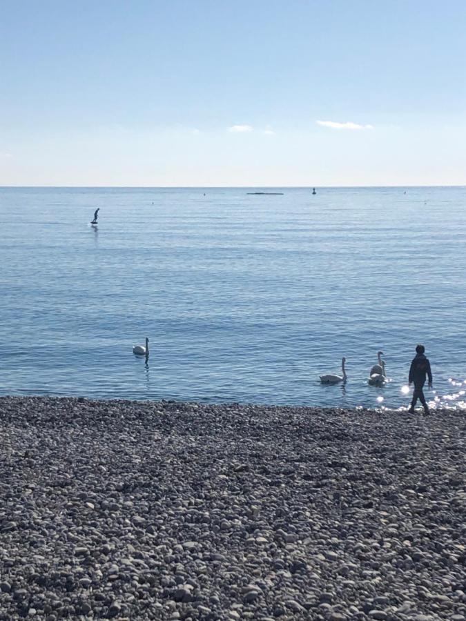 Front De Mer,Plage, Piscine, Parking Cagnes-sur-Mer Exterior foto